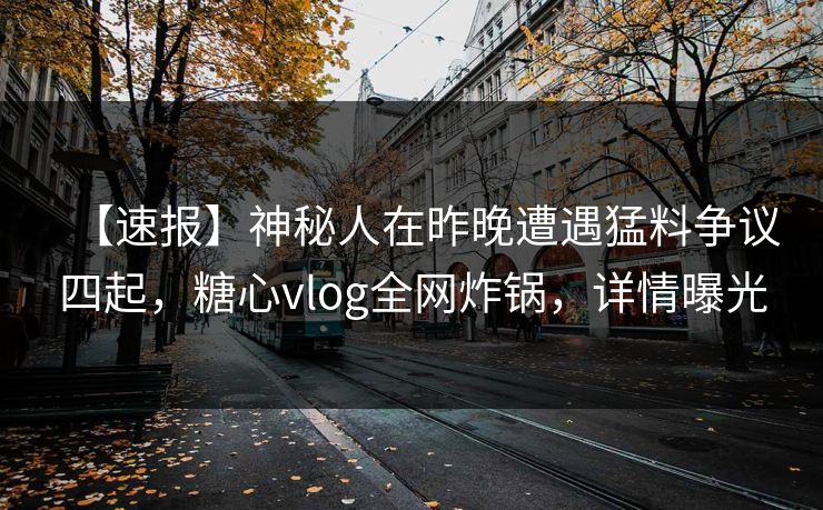 【速报】神秘人在昨晚遭遇猛料争议四起，糖心vlog全网炸锅，详情曝光