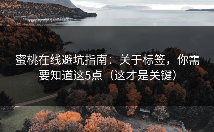 蜜桃在线避坑指南：关于标签，你需要知道这5点（这才是关键）