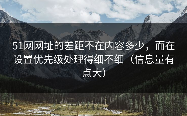 51网网址的差距不在内容多少，而在设置优先级处理得细不细（信息量有点大）