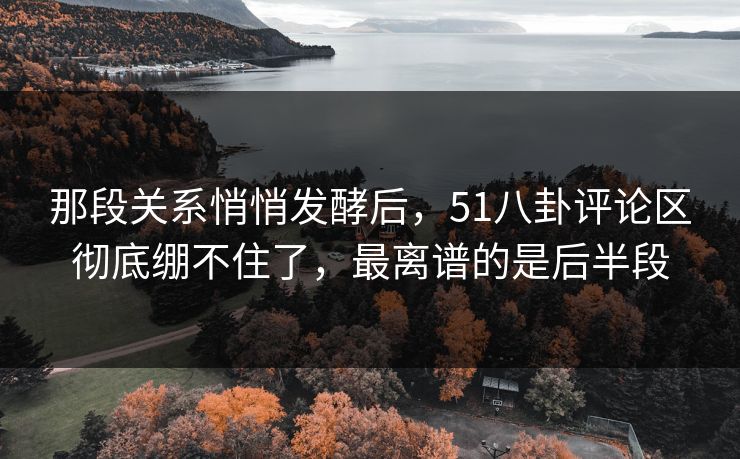 那段关系悄悄发酵后，51八卦评论区彻底绷不住了，最离谱的是后半段
